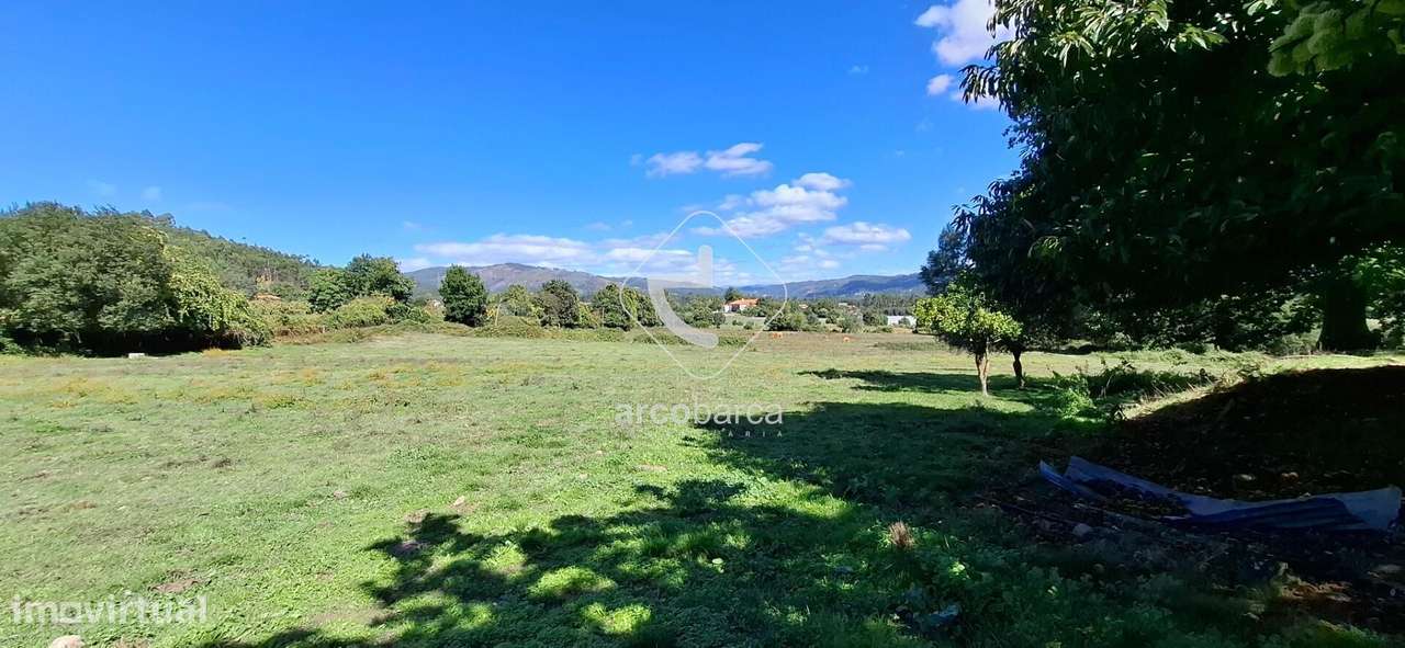 Quinta Agricola de 6Hect. c/casa T3 em Calvelo - Ponte de Lima-20