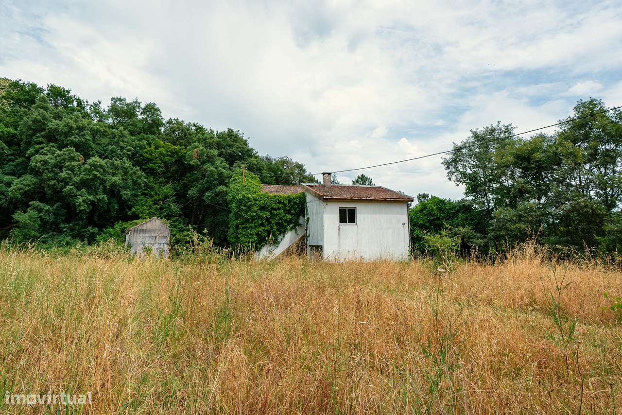 Quinta com 5,5 ha e Projecto Aprovado p/Hotel Rural 4 Estrelas - Viseu-7