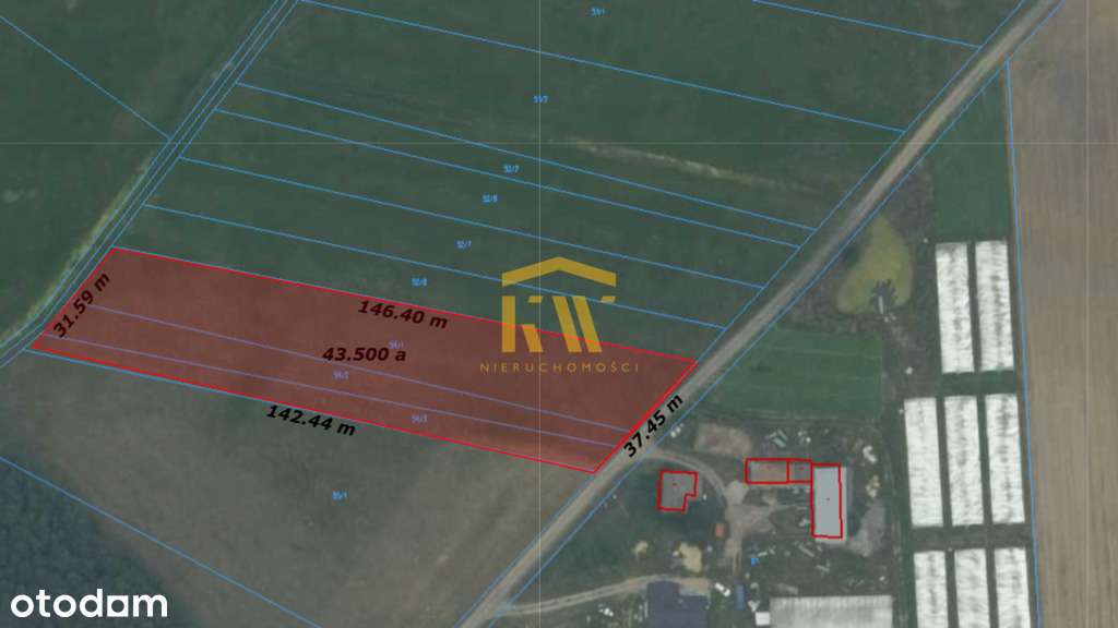 Działka 4600m2 Wrzos - Pełny obrazek: 2/2
