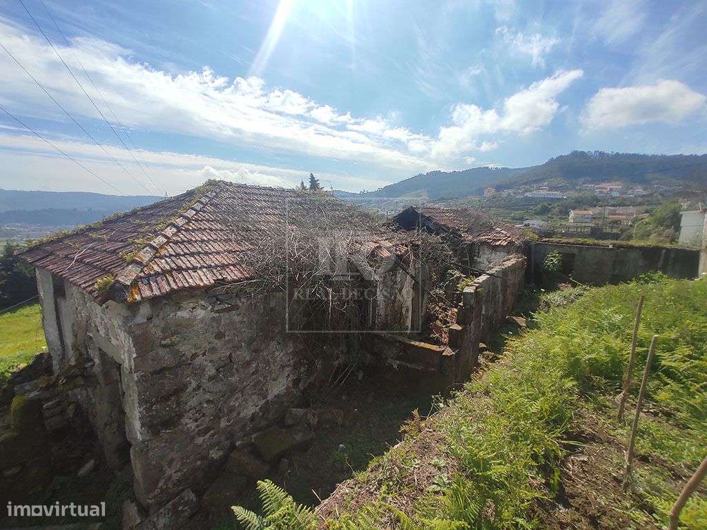 Quinta com 15000m2 em Santo Tirso-16