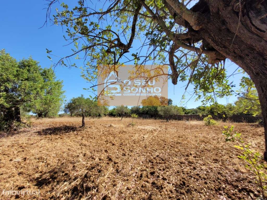 Terreno Rústico plano com acesso pedonal - 4.910 M² - Grande imagem: 2/12