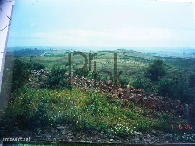 Herdade Montinho do Pascoal-14