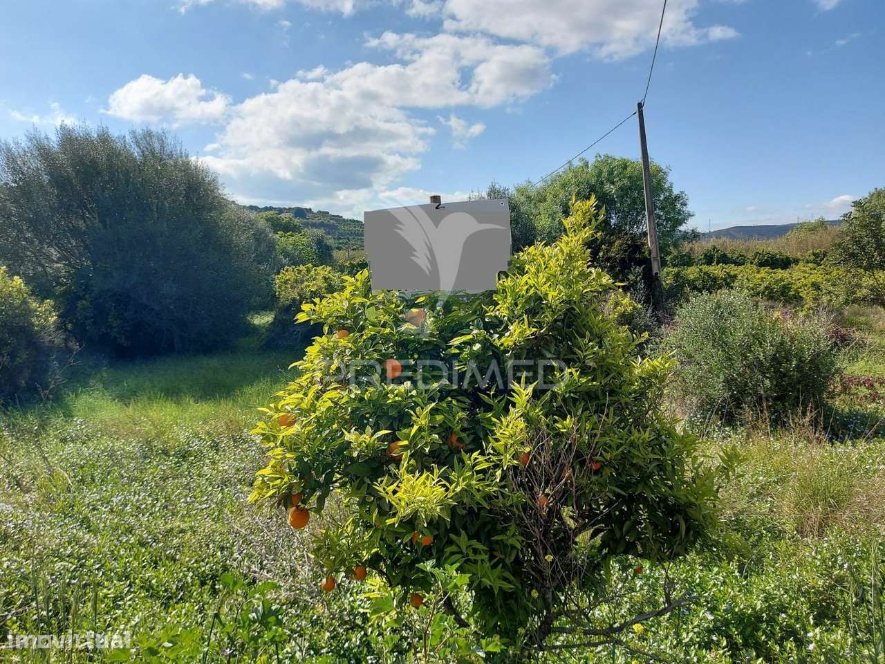 Terreno agrícola 2600m2 com árvores e água em Silves - Grande imagem: 2/17