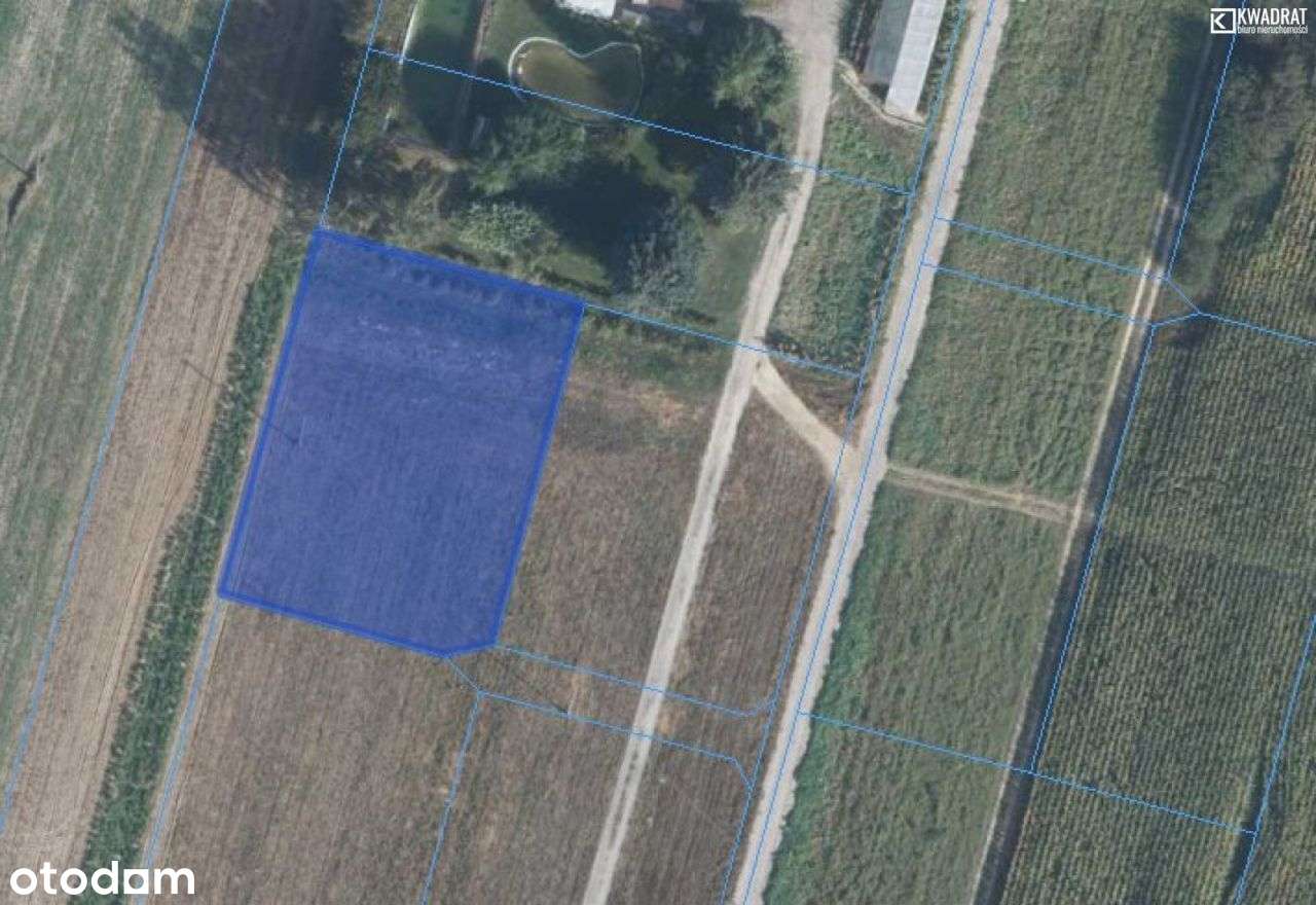 Działka 1151 m2 , Łęczna- Kolonia Trębaczów - Pełny obrazek: 4/8