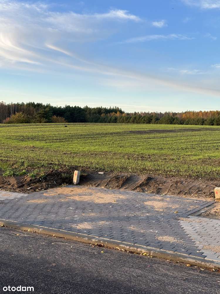 Działka budowlana 1000 m kw. w Borach Tucholskich Lubińsk, gm Cekcyn - Pełny obrazek: 4/6