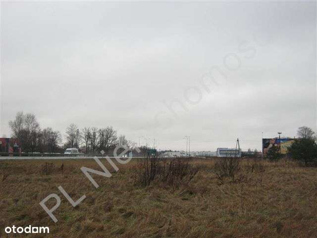 Teren przemysłowy, media, prąd 600 kW, asfalt - Pełny obrazek: 5/8