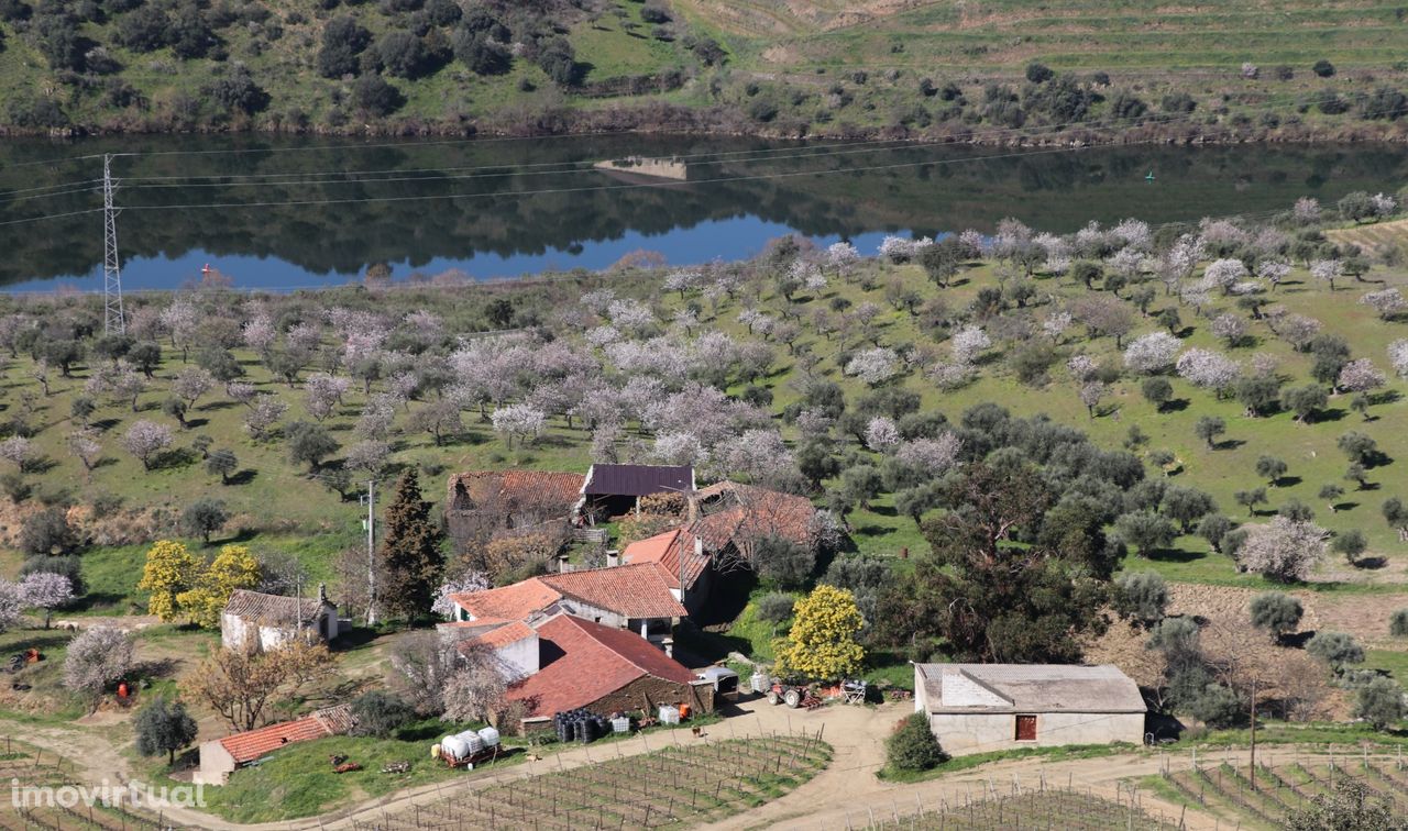 Quinta  Venda em Torre de Moncorvo,Torre de Moncorvo