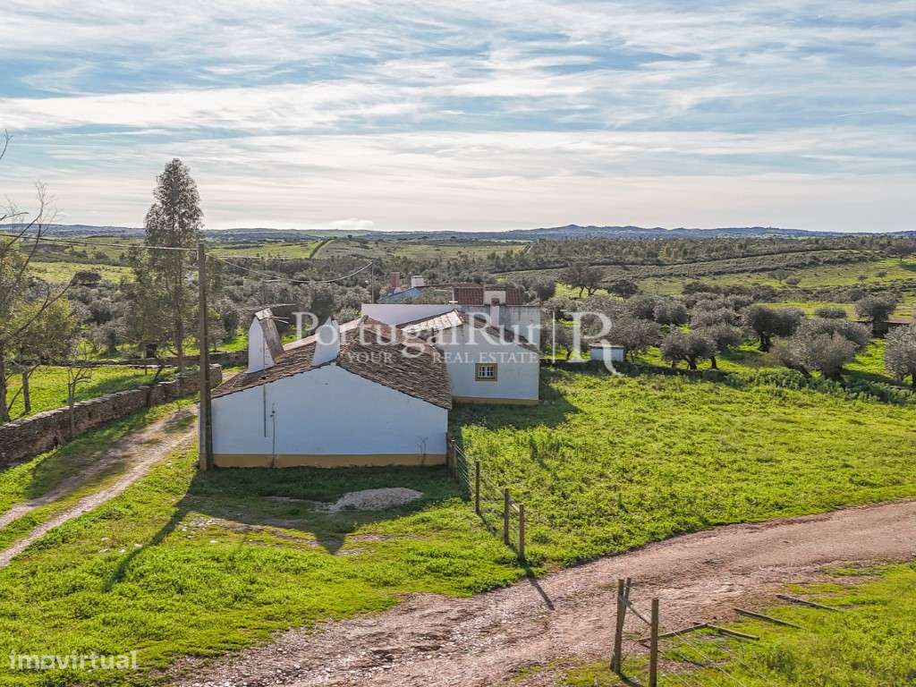 Monte com 4.400 m2 de terreno e habitação T3 - Grande imagem: 4/12