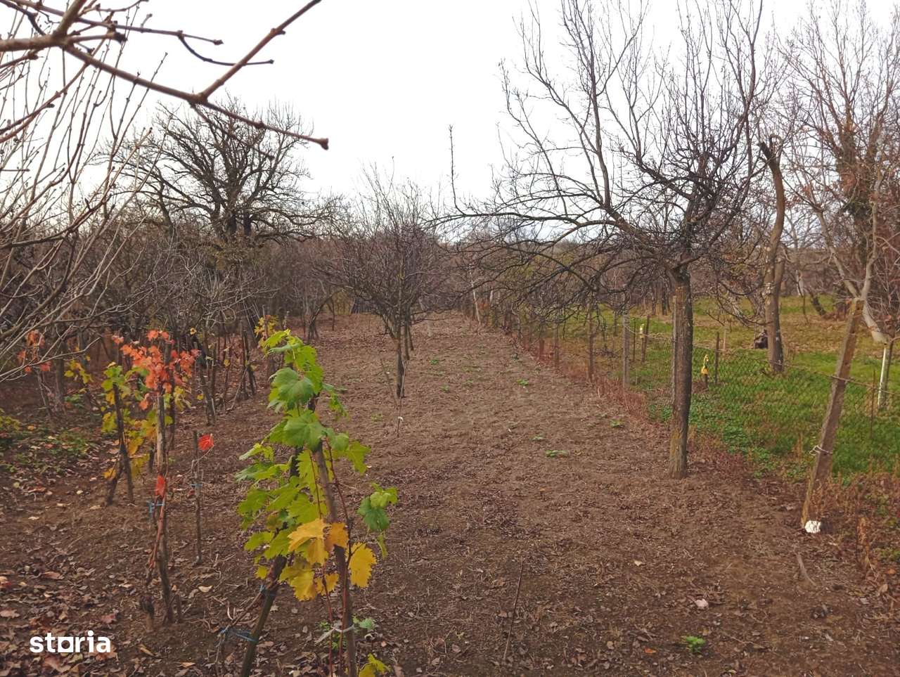 Casa de vanzare in satul Paulian, comuna Buteni-8