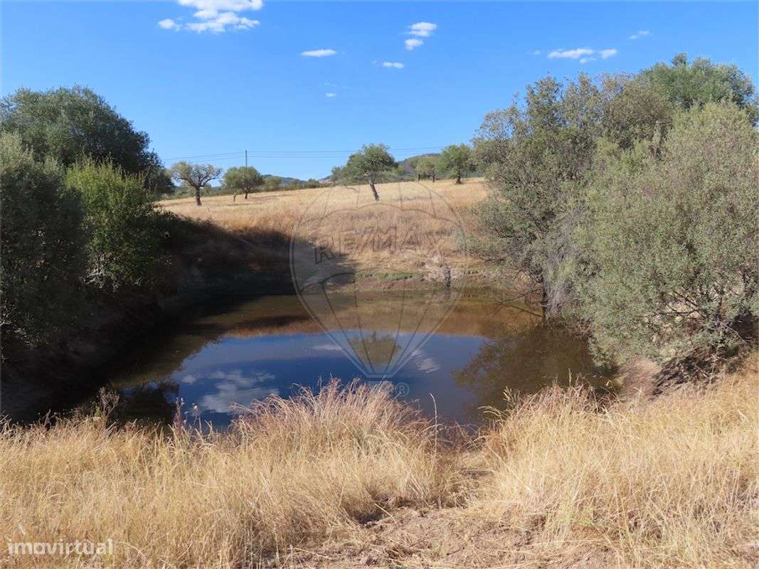Quinta  para venda - Grande imagem: 5/30