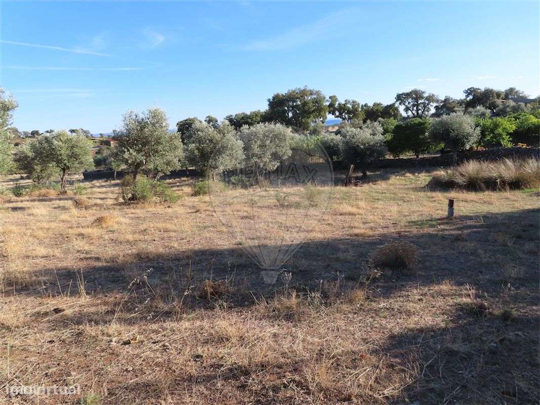 Quinta T0 para venda - Grande imagem: 3/20