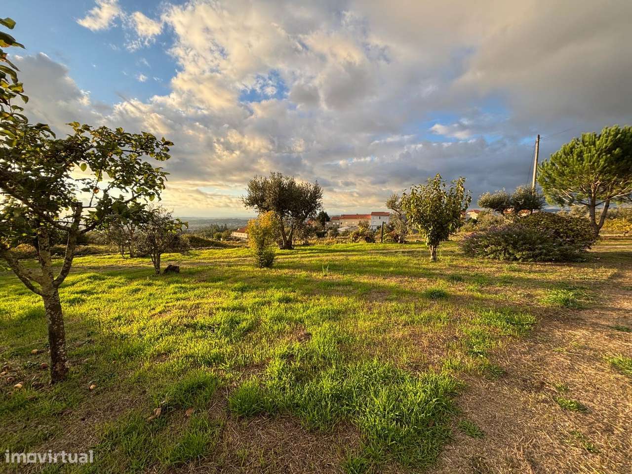 Quinta T3 Venda em Santa Marinha e São Martinho,Seia-15