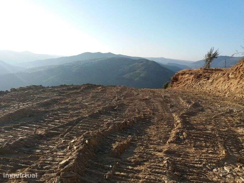 pequena quintinha no  coração do douro - Grande imagem: 4/11