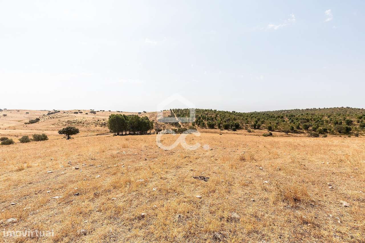 Terreno Rústico de 2,725 ha c/ Pequena Nascente para Exploração Agríco - Grande imagem: 4/16