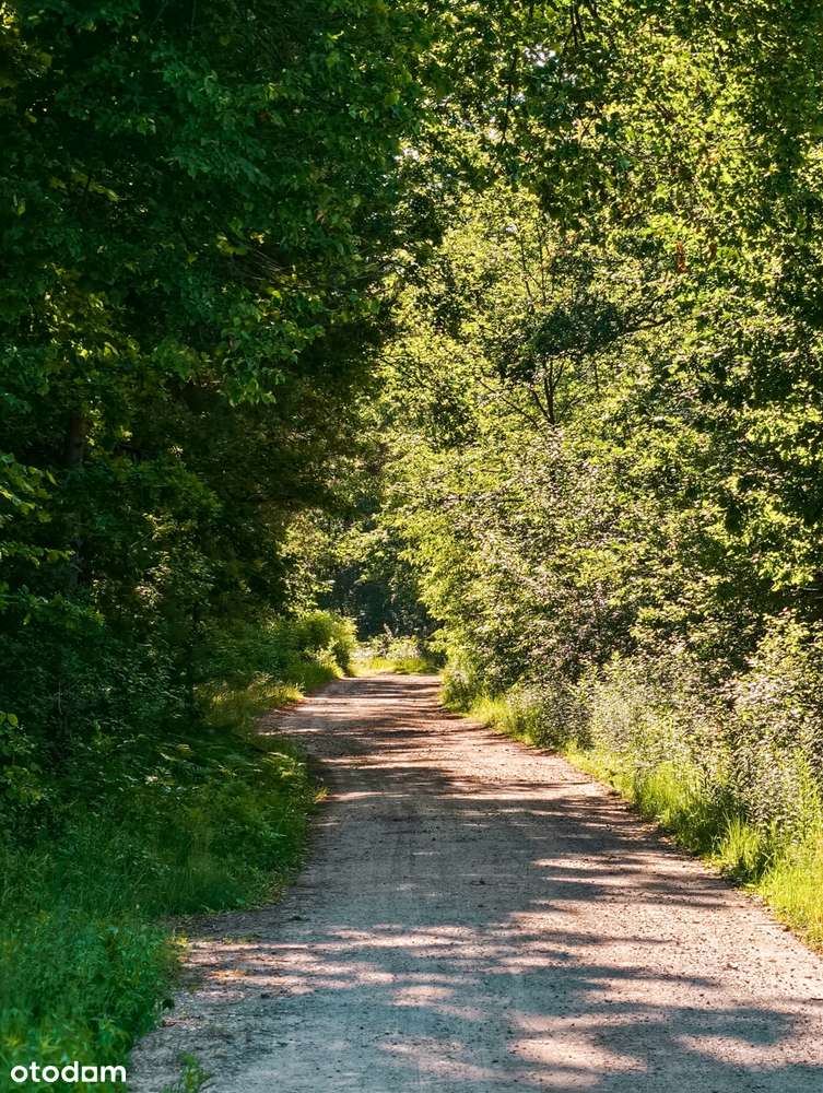 hoł, hoł,hoł - Spełnij marzenie na Święta – dom w Radawie-18