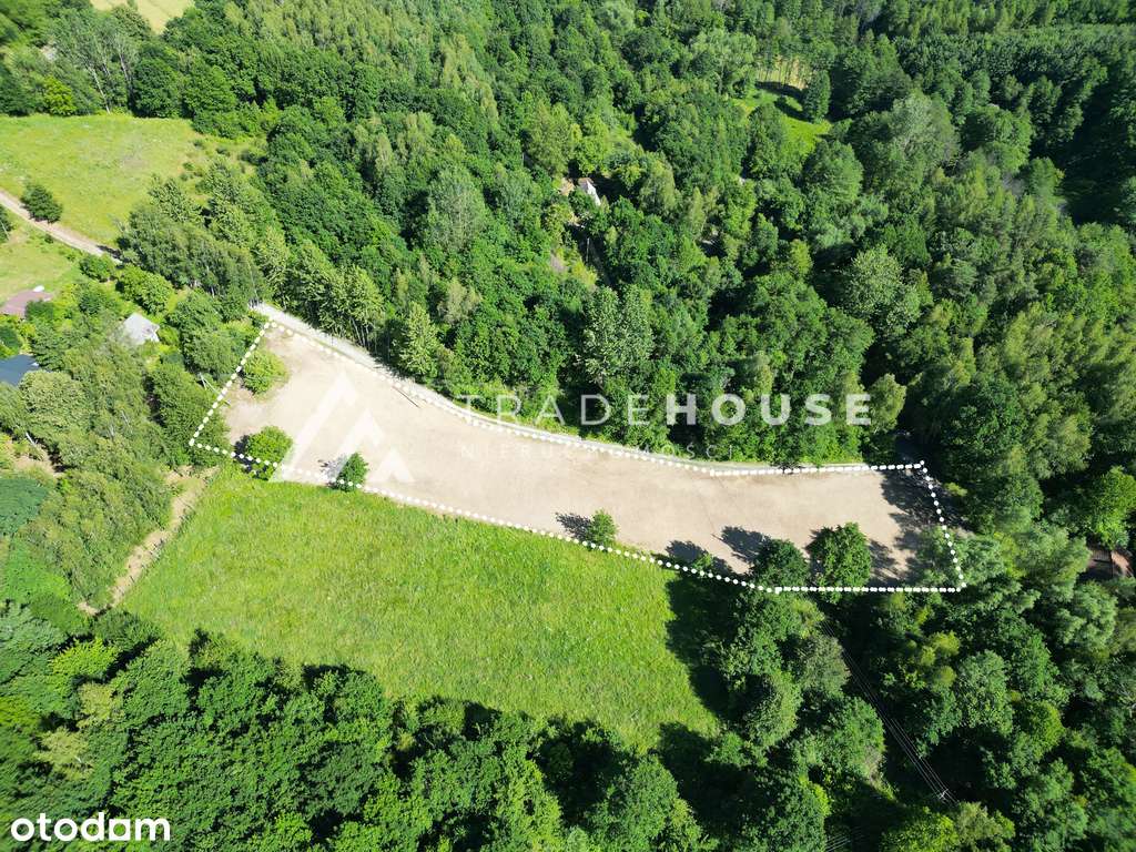 Działka 41 ar - Pełny obrazek: 5/8