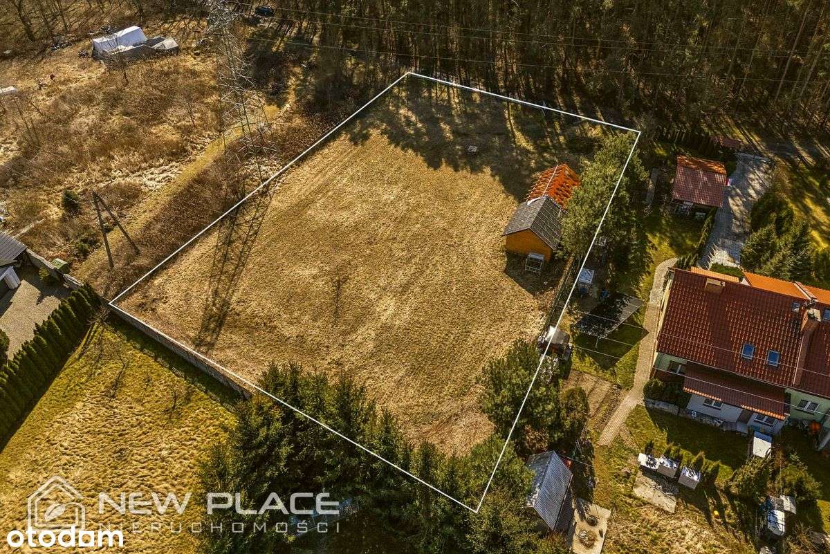 Wilkszyn, przy lesie, pod dom jednorodz., 2416 m2 - Pełny obrazek: 5/8