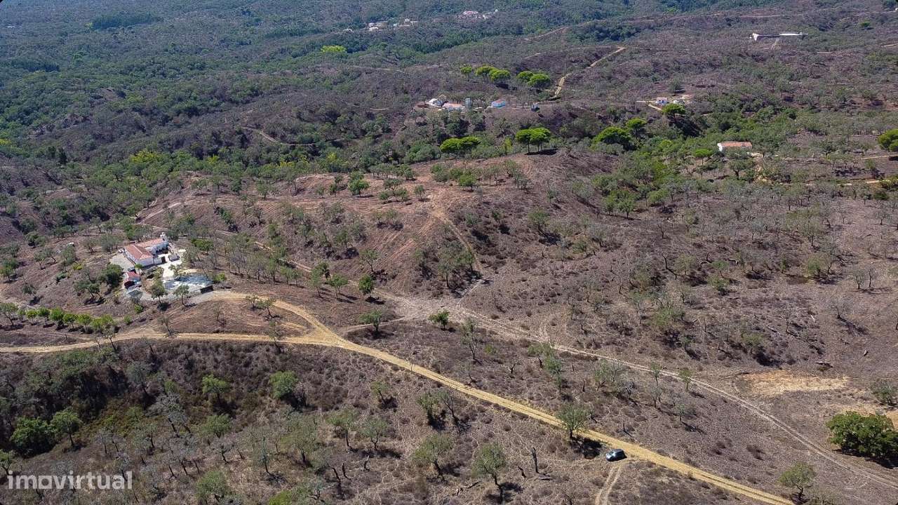 Terreno de 5,775 ha em São Francisco (próximo da Cruz de João Mende - Grande imagem: 4/5