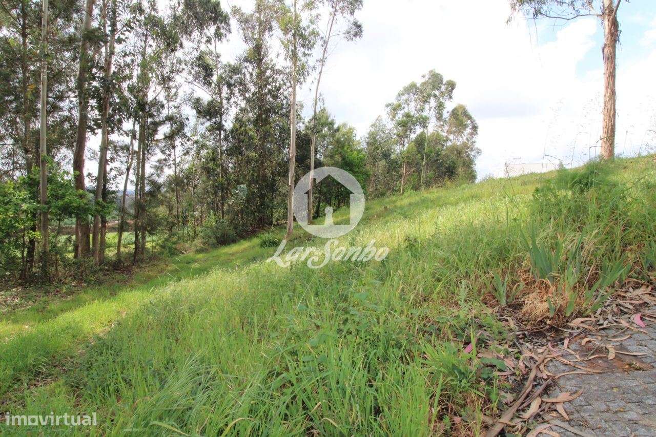 Terreno de construção com 6.190 m2 em Balazar - Grande imagem: 4/7