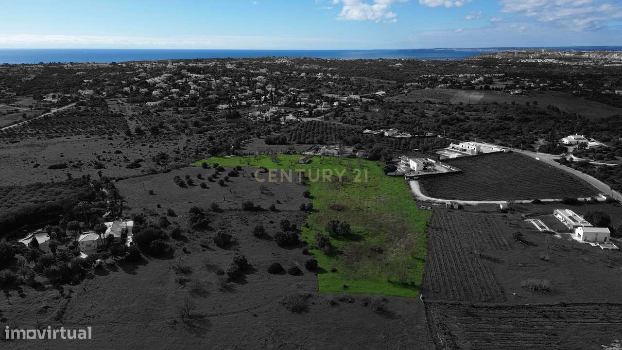 Quinta com ruína com uma área total de 16.970m2 e projeto aprovado par - Grande imagem: 2/20