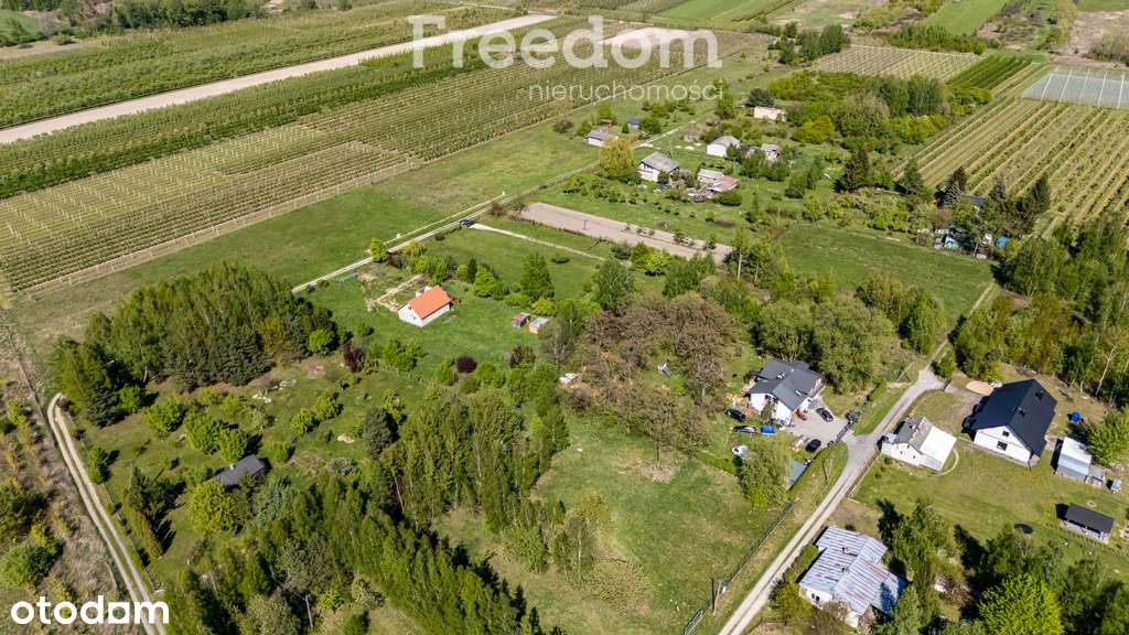 Duża działka - idealna pod inwestycję - Pełny obrazek: 5/13