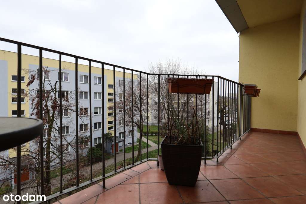 Rezerwacja! sprzedaż 3-pok mieszkanie na Korczaku - Pełny obrazek: 5/15