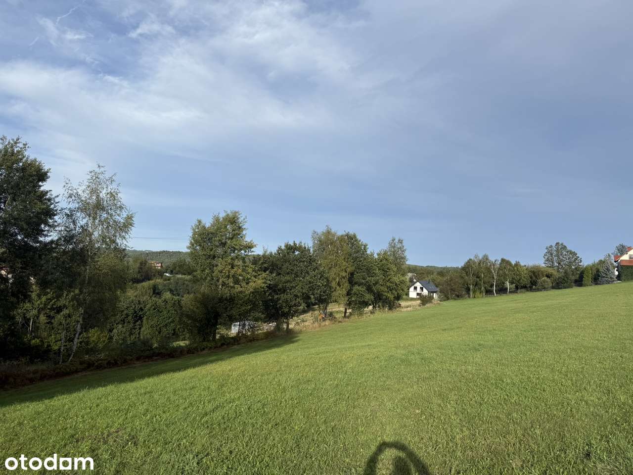 Dziekanowice - duża działka budowlana - Pełny obrazek: 5/9