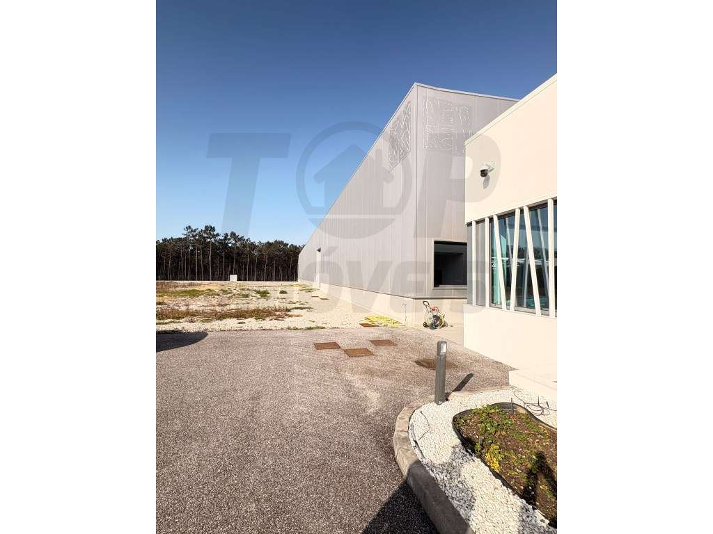 Complexo Industrial Moderno com Nave e Escritórios na Zona Prime de... - Grande imagem: 5/42