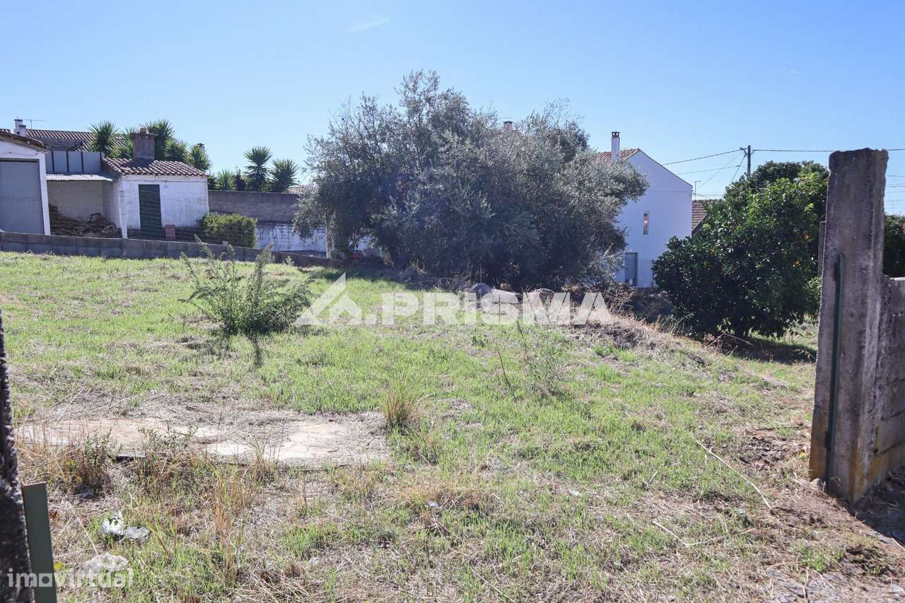 Terreno para venda em Alcains-5