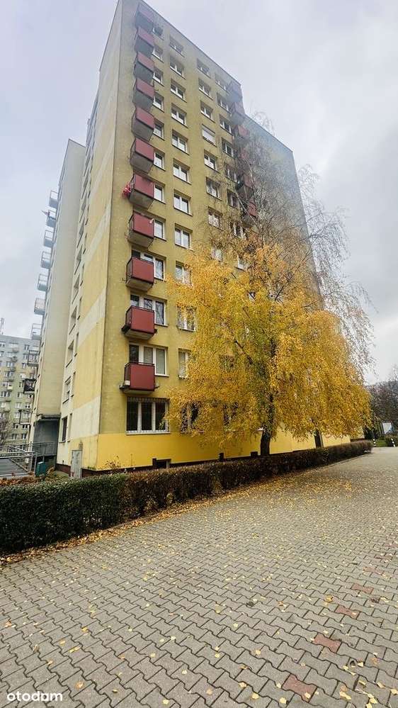 S Kępa 54m2, rozkładowe i narożne, do wprowadzenia-11