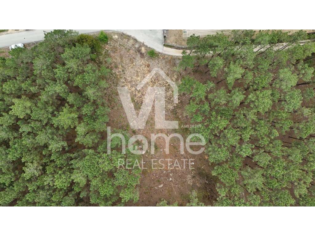 Terreno com Potencial para Moradias - Natureza e Conveniência de Mã...-11