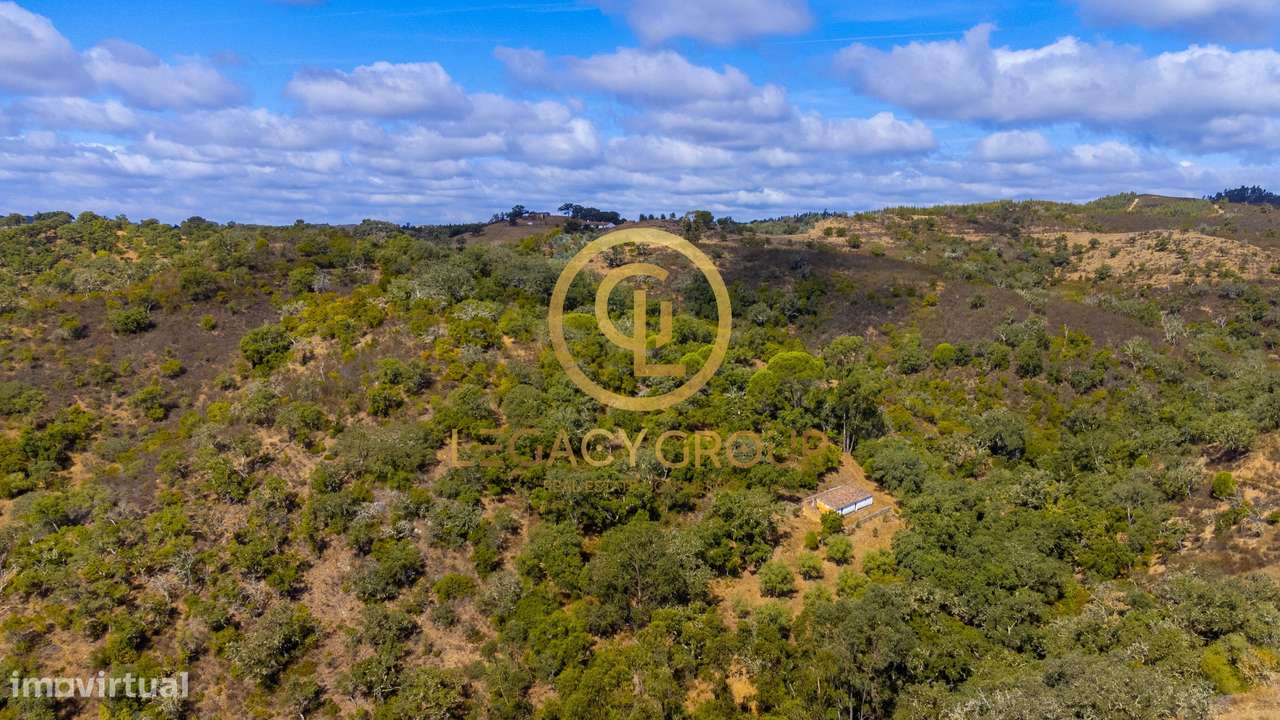 Quinta de 6 hectares perto de São Martinho das Amoreiras-35