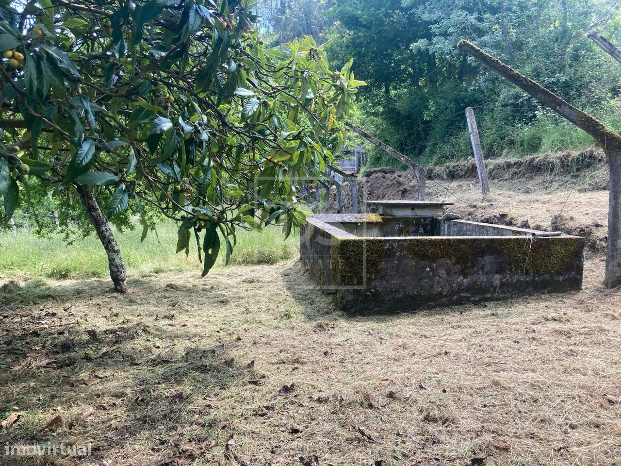 Quinta T2 Venda em Paredes de Viadores e Manhuncelos,Marco de Canavese-7