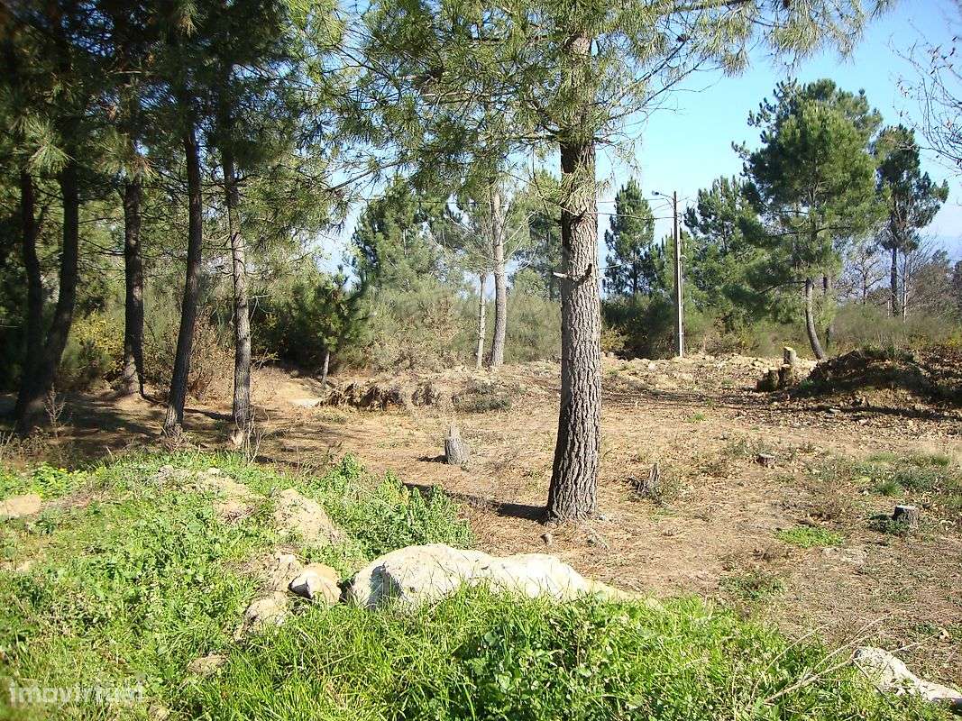 Terreno  para venda - Grande imagem: 2/9