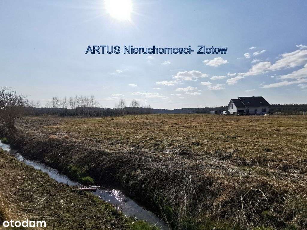 Działki budowlane (2 szt.) w pobliżu rzeki Gwdy- T - Pełny obrazek: 4/20