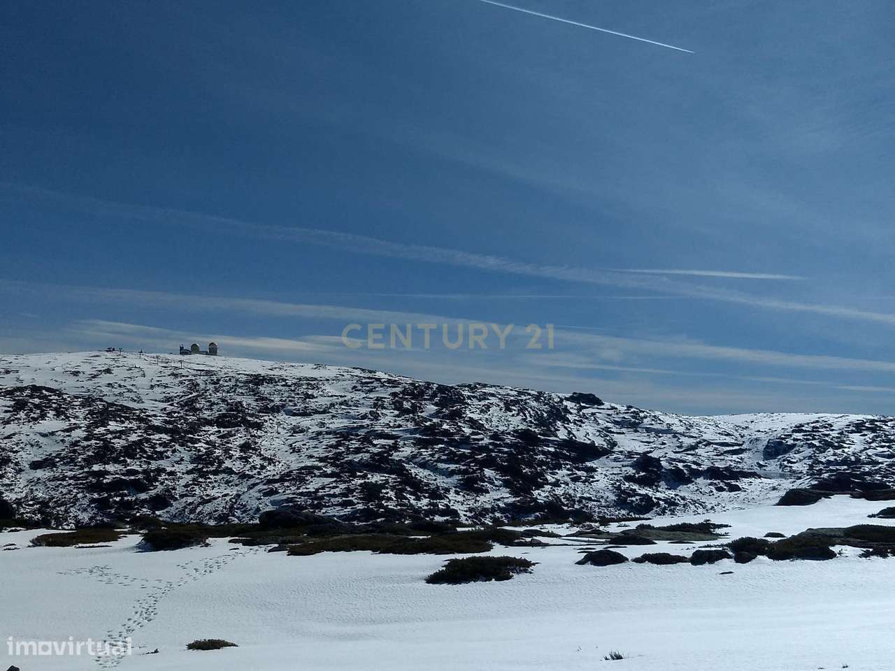 Quinta para Vinhas ou Pomar - Grande imagem: 5/5