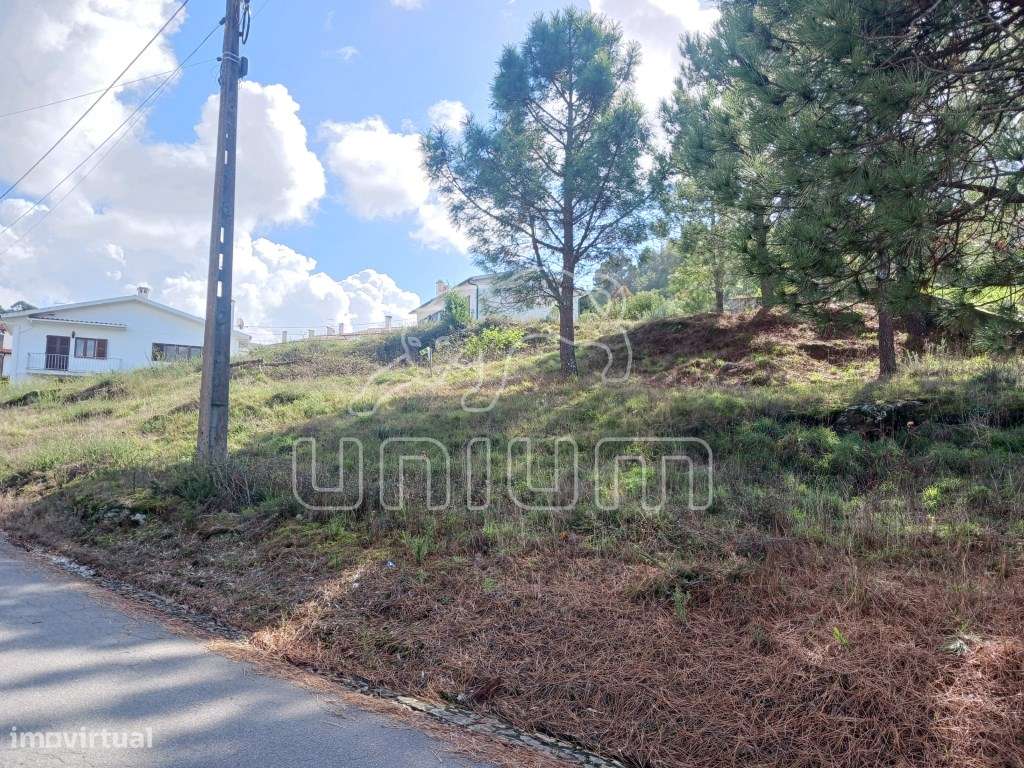 Terreno para construção com vista para o Rio Minho - Grande imagem: 5/7