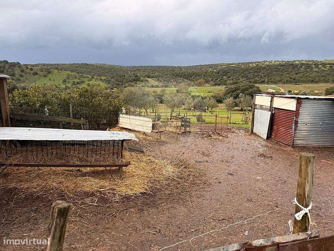 Terreno  para arrendamento - Grande imagem: 4/5