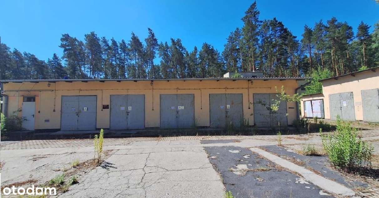 Nieruchomość - zakład produkcyjny w Nowej Sarzynie - Pełny obrazek: 5/10