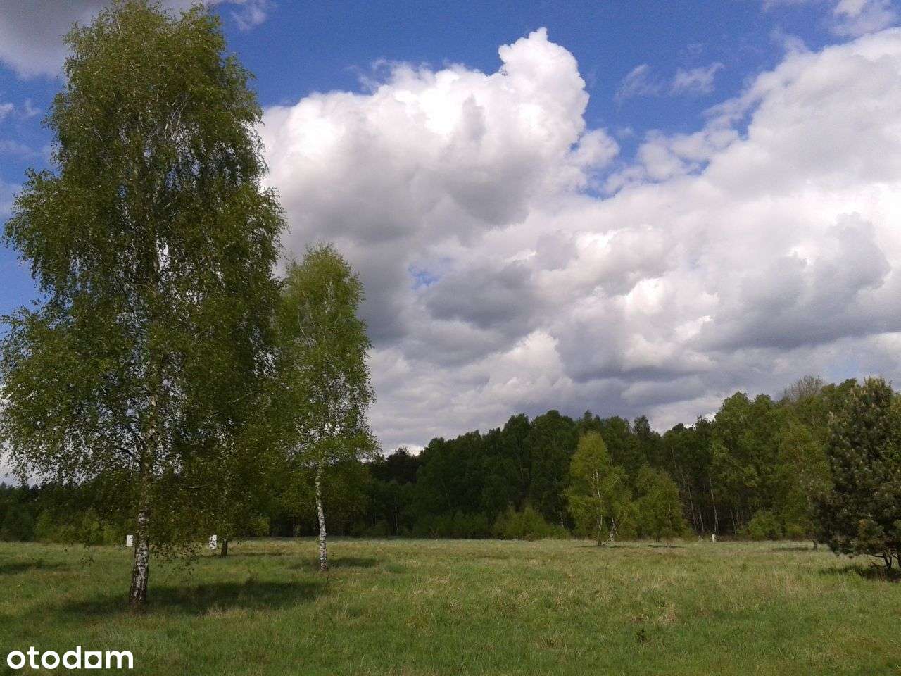 Działka budowlana koło Goleniowa - 3220m2 - Pełny obrazek: 4/7