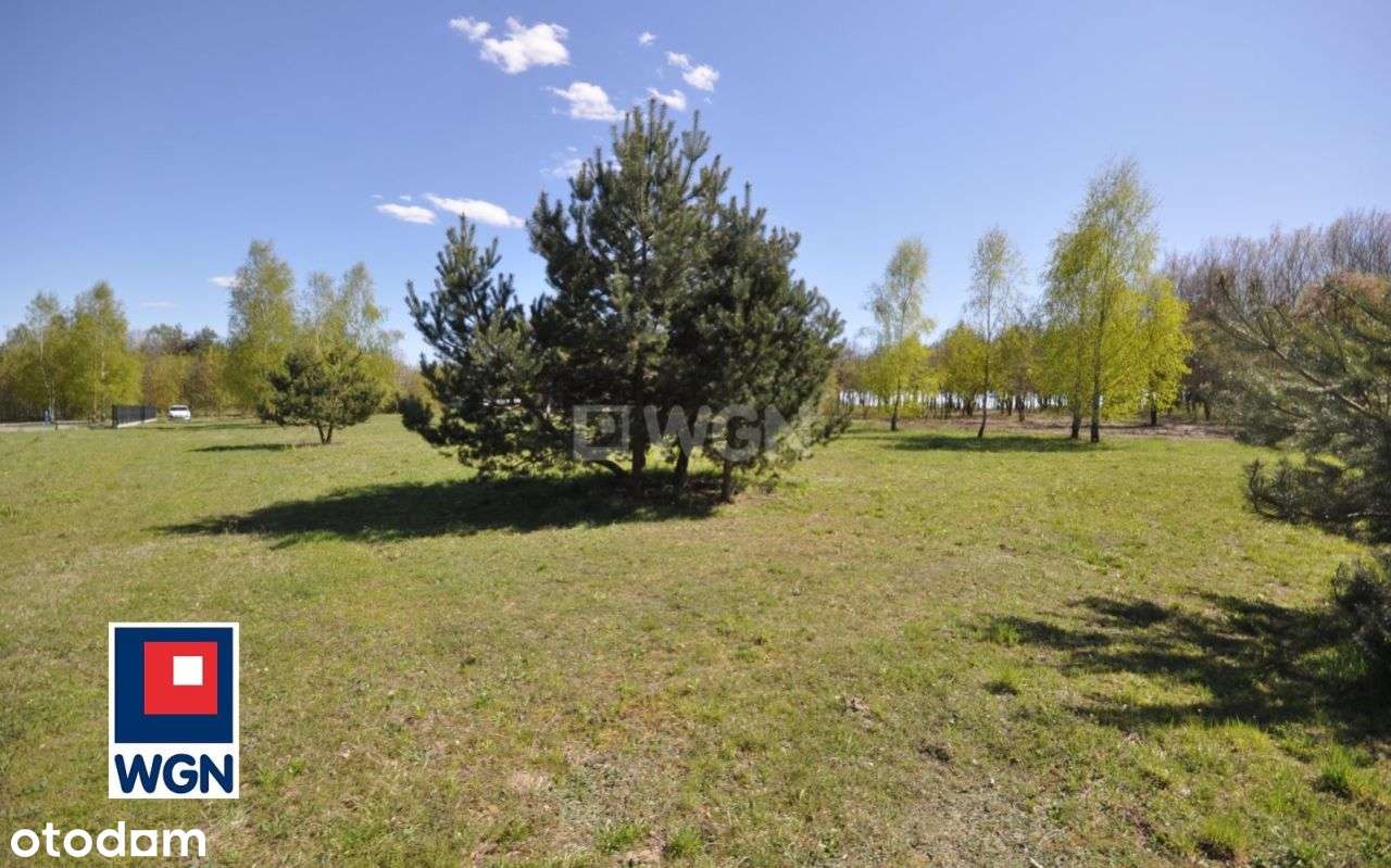 Działka, 900 m², Kodrąb-11