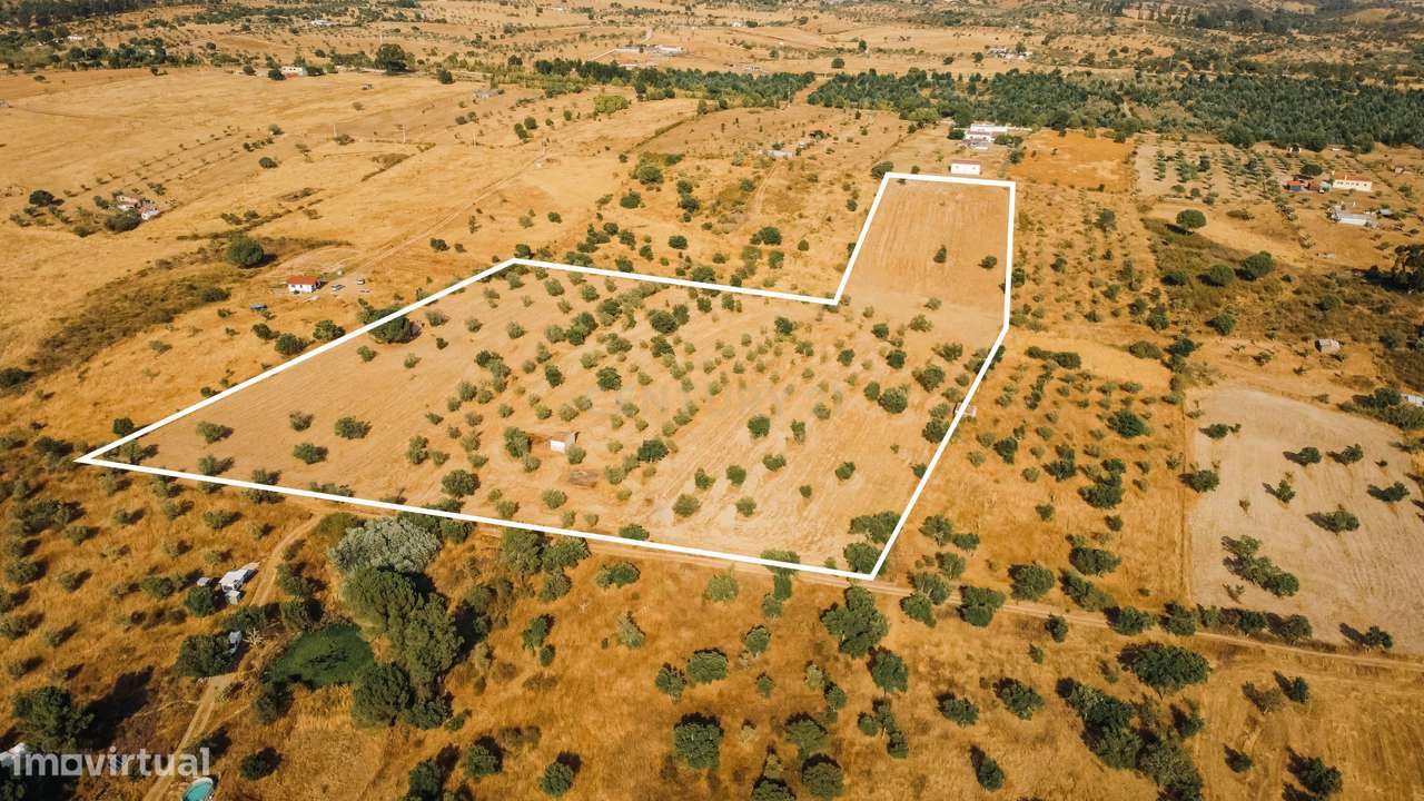 Propriedade rústica com potencial agrícola e turístico - 3,1200 hectar - Grande imagem: 4/22