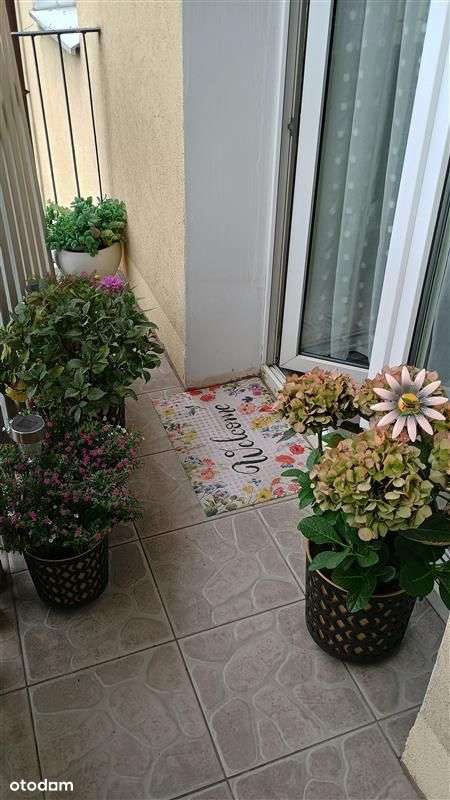 Mieszkanie - Gdynia Śródmieście-17