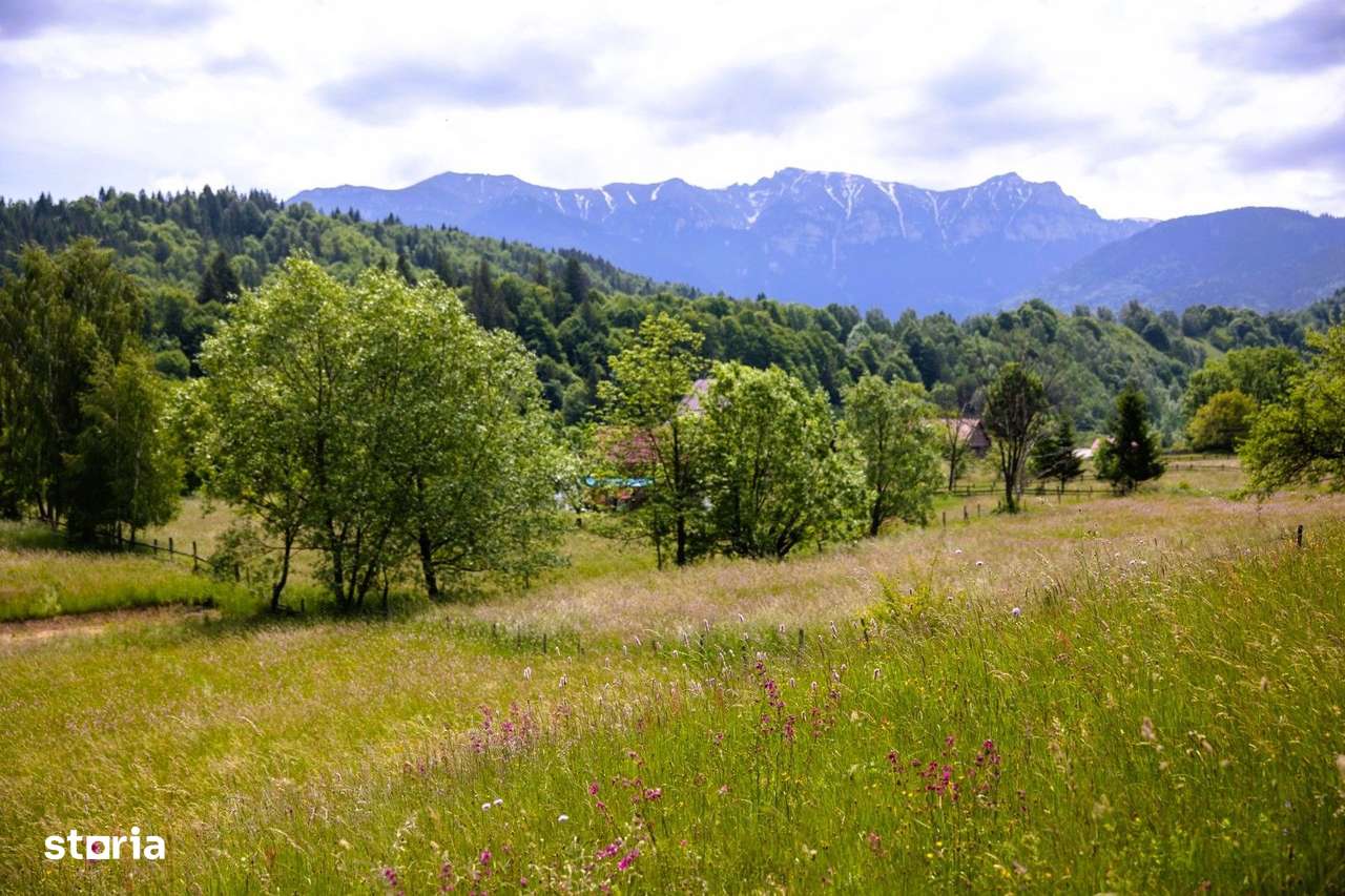 Teren intravilan - 1.050 mp în Bran cu utilitati – priveliște Bucegi - Imagine principală: 4/12