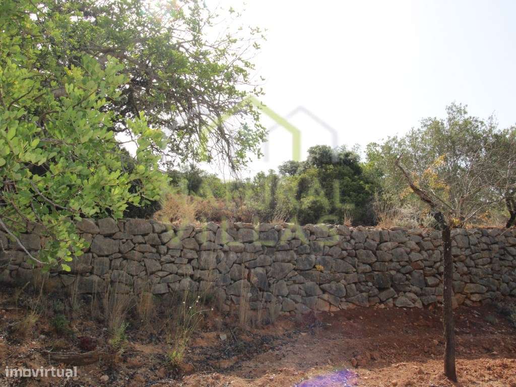 Terreno Rústico de 6960m2 e Vista Mar em Estoi - Grande imagem: 4/10