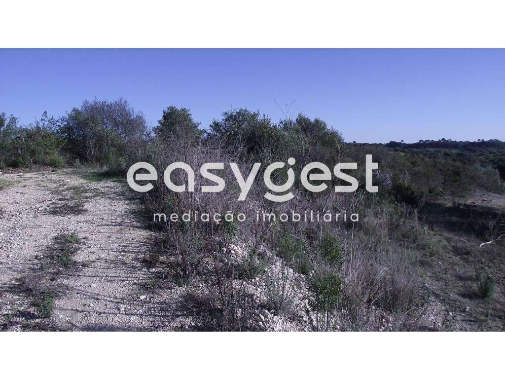 Terreno com vista sobre a Serra D´Aire e Candeeiros - Torres Novas - Grande imagem: 3/12