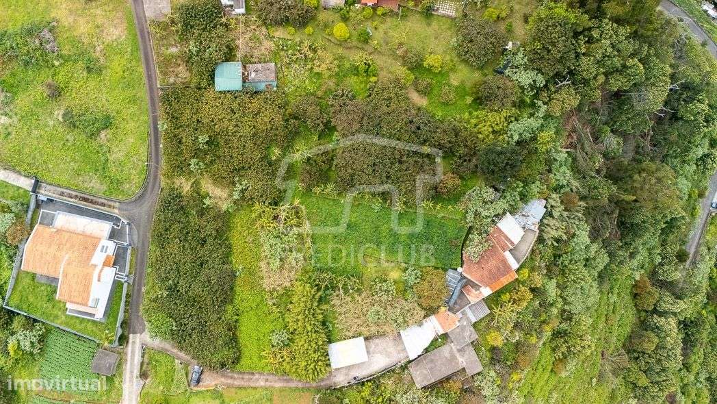 Terreno 2420 m2 - Machico-8