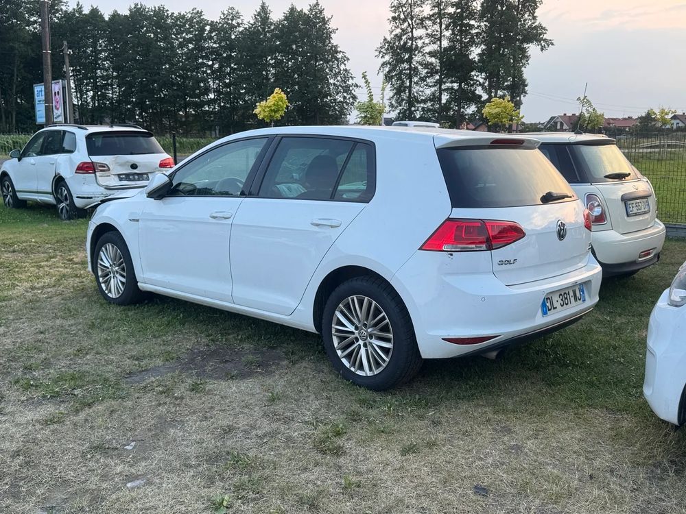 Volkswagen Golf VII (2012-2020) 1.6 TDI BlueMotion Technology DSG Cup 2014