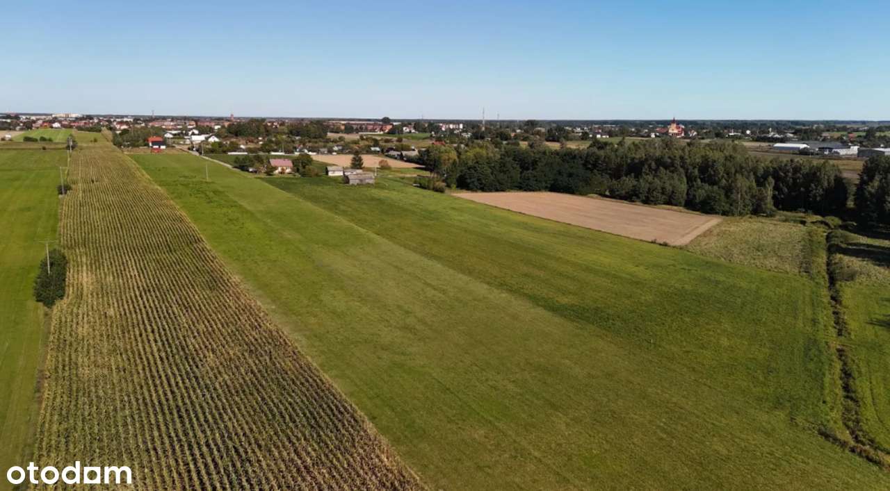 Działka 3000m2; Zambrów; ul. Stokrotki-11