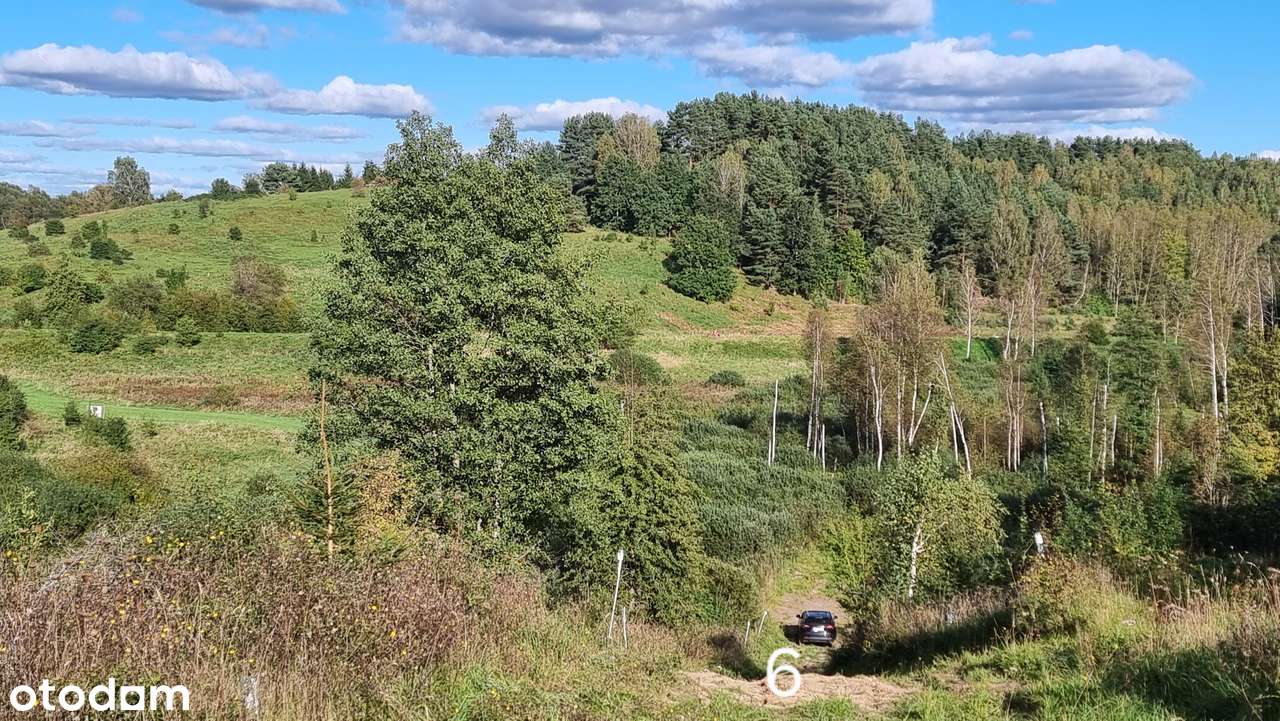 Łaniewo las rowery natura bobry - Pełny obrazek: 5/20